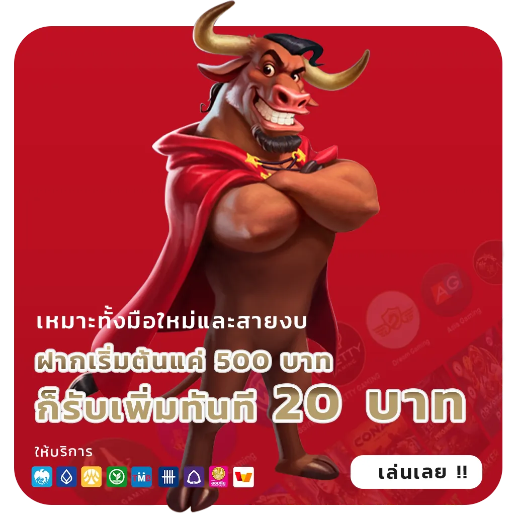 pgwalletแตกง่าย